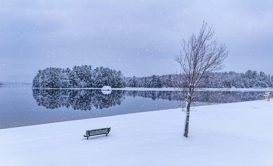 Canvas - Winter Wonderland Rock 5