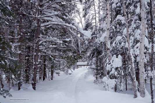 Canvas - The Winter Wonderland Sheriff's Creek 1