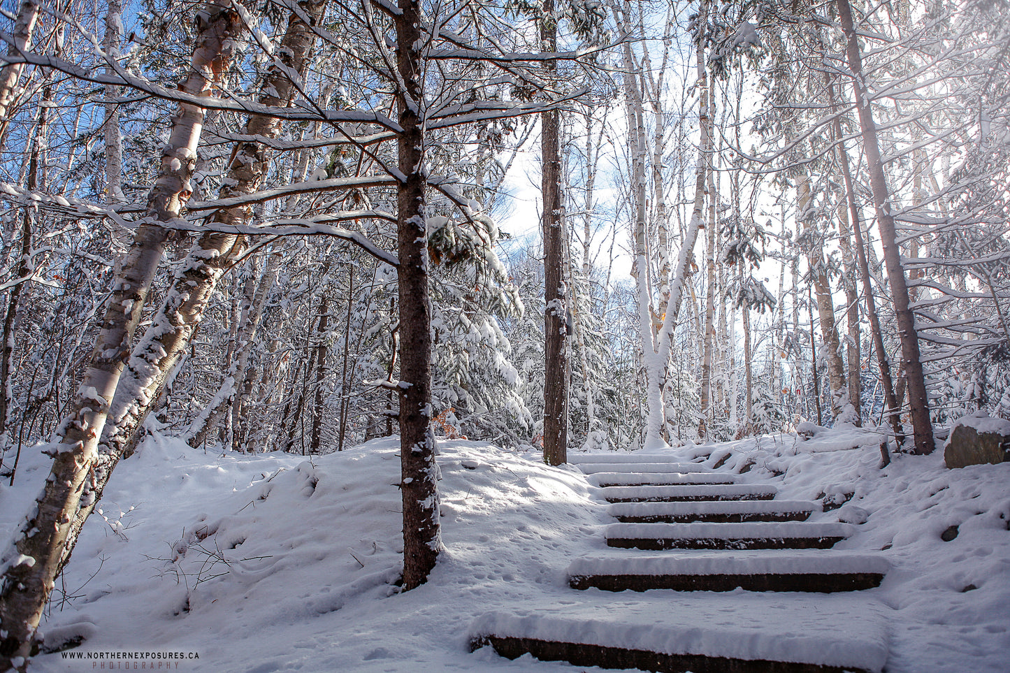 Canvas - The Winter Wonderland Sheriff's Creek 15