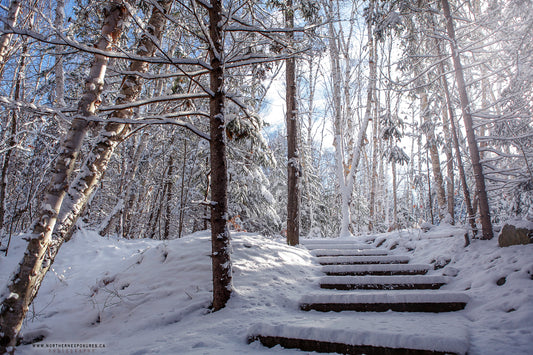 Canvas - The Winter Wonderland Sheriff's Creek 15