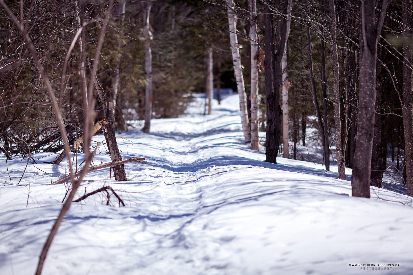 Canvas - The Winter Wonderland Sheriff's Creek 16