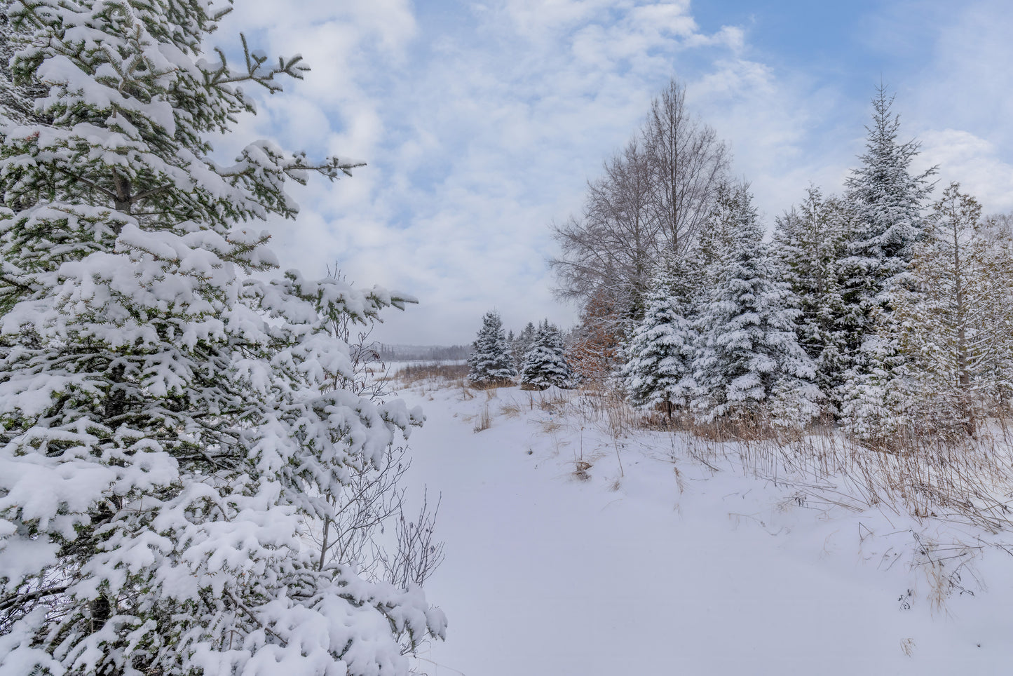 Canvas - The Winter Wonderland Sheriff's Creek 17