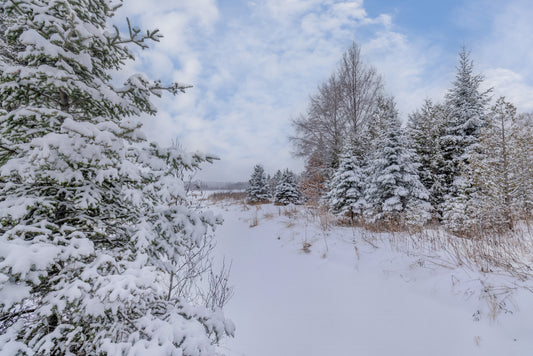 Canvas - The Winter Wonderland Sheriff's Creek 17