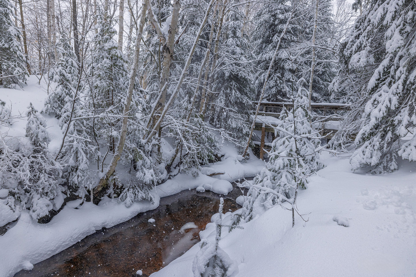 Canvas - The Winter Wonderland Sheriff's Creek 19