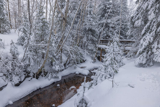 Canvas - The Winter Wonderland Sheriff's Creek 19