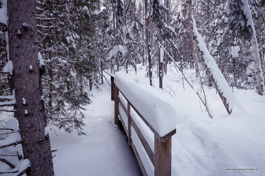 Canvas - The Winter Wonderland Sheriff's Creek 2