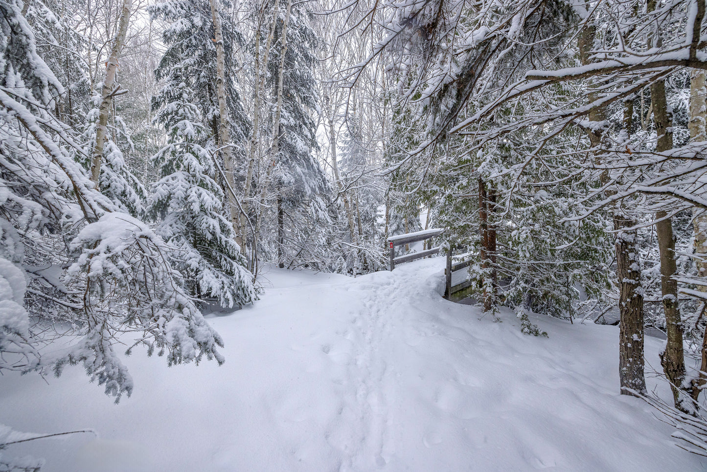 Canvas - The Winter Wonderland Sheriff's Creek 20