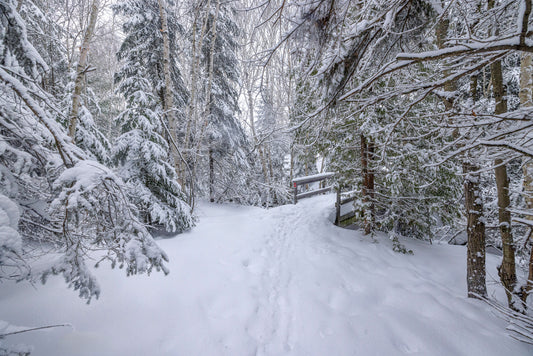 Canvas - The Winter Wonderland Sheriff's Creek 20