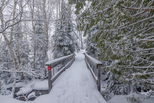 Canvas - The Winter Wonderland Sheriff's Creek 21