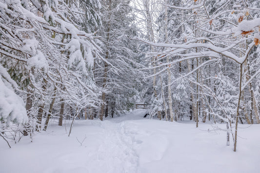 Canvas - The Winter Wonderland Sheriff's Creek 23