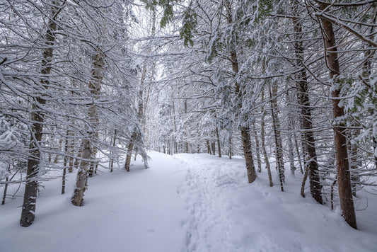 Canvas - The Winter Wonderland Sheriff's Creek 24