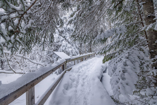 Canvas - The Winter Wonderland Sheriff's Creek 25