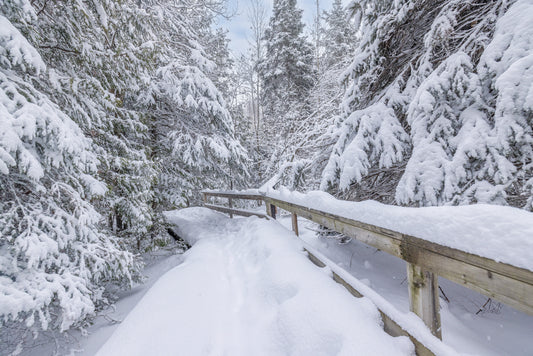 Canvas - The Winter Wonderland Sheriff's Creek 26