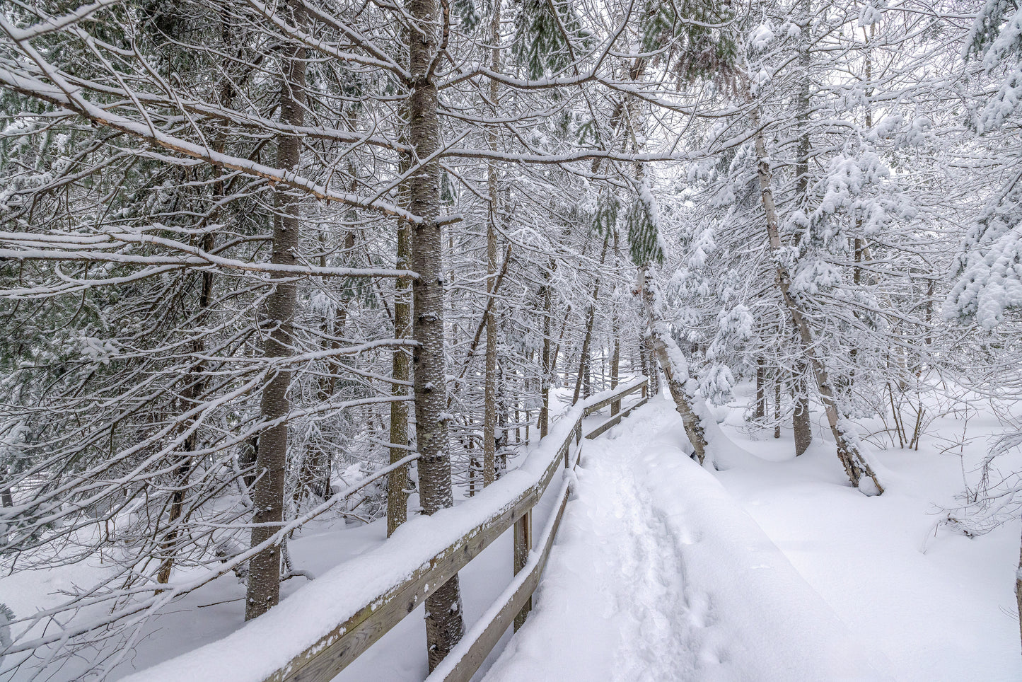 Canvas - The Winter Wonderland Sheriff's Creek 27