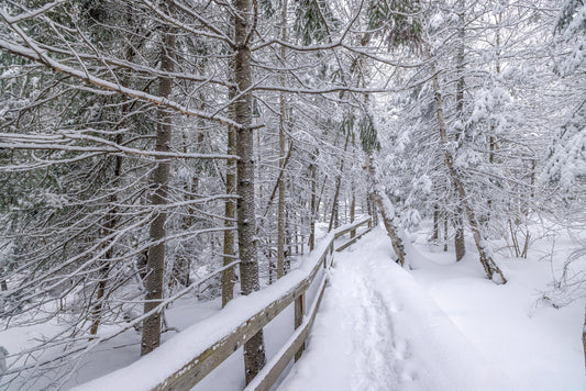 Canvas - The Winter Wonderland Sheriff's Creek 27