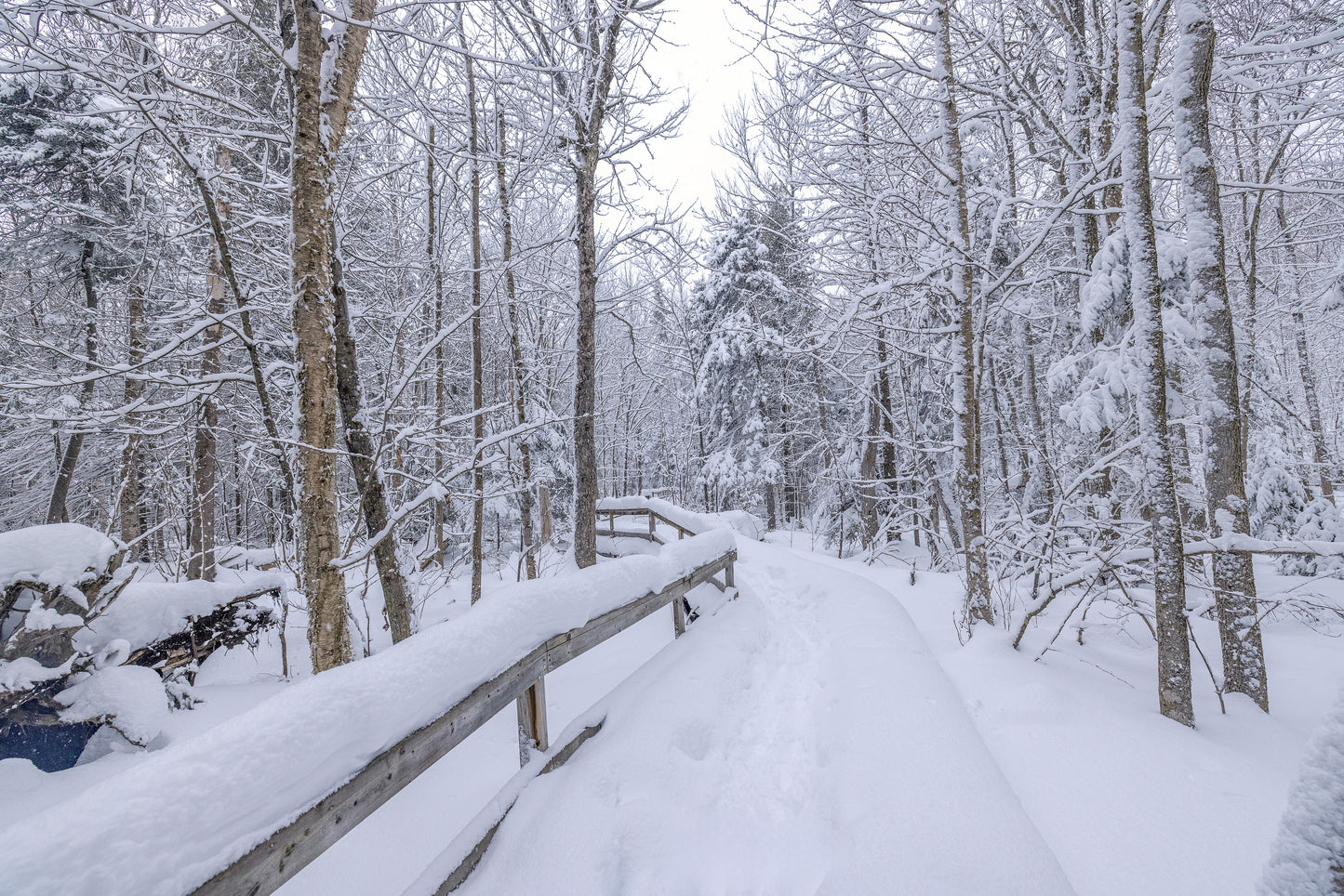 Canvas - The Winter Wonderland Sheriff's Creek 28