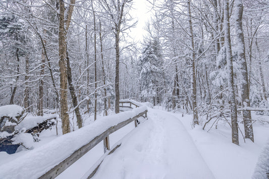 Canvas - The Winter Wonderland Sheriff's Creek 28