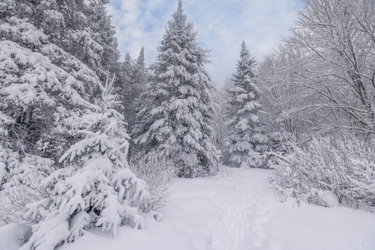 Canvas - The Winter Wonderland Sheriff's Creek 31