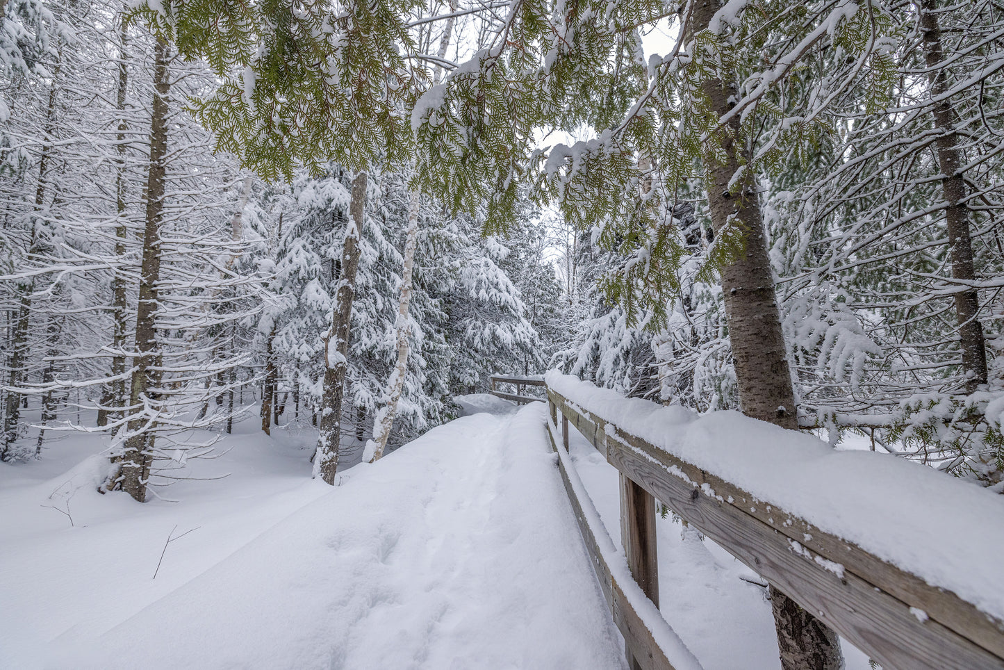 Canvas - The Winter Wonderland Sheriff's Creek 32
