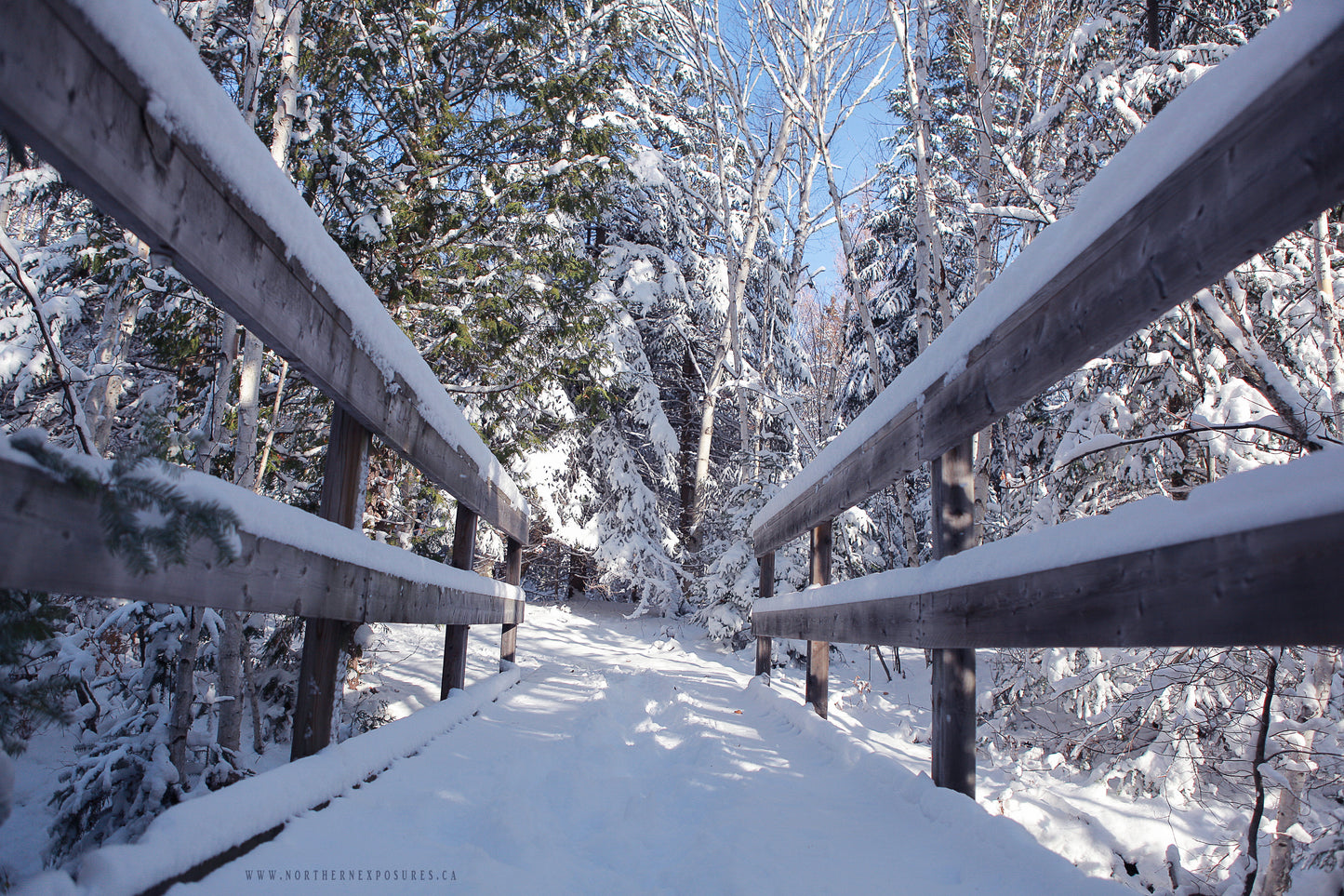 Canvas - The Winter Wonderland Sheriff's Creek 35