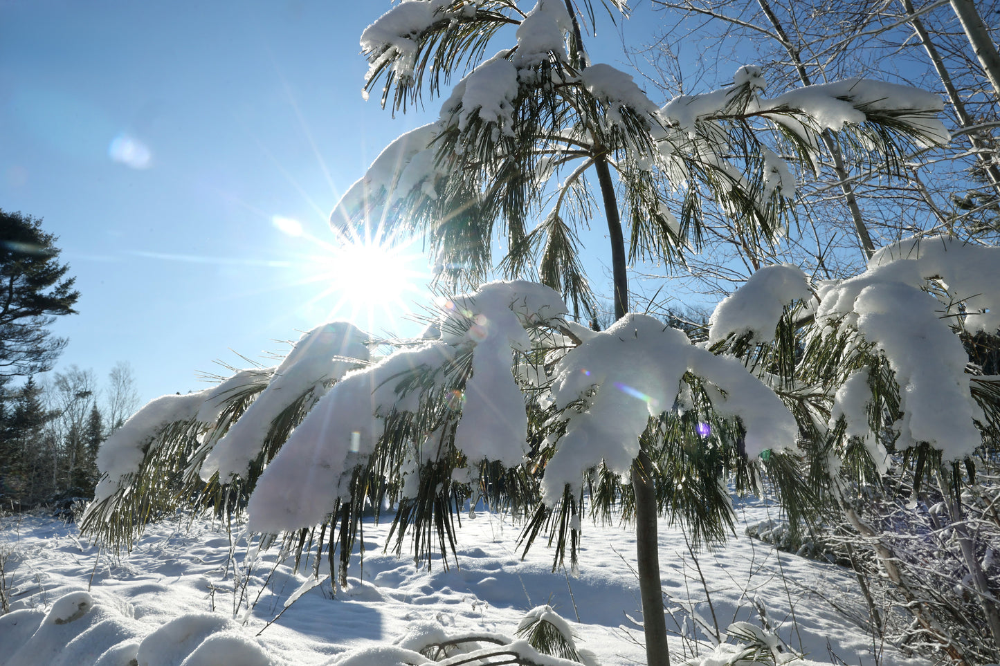 Canvas - The Winter Wonderland Sheriff's Creek 37