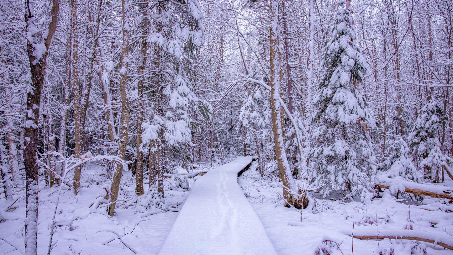 Canvas - The Winter Wonderland Sheriff's Creek 38