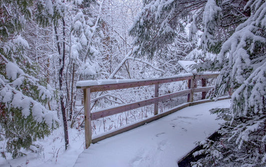 Canvas - The Winter Wonderland Sheriff's Creek 39