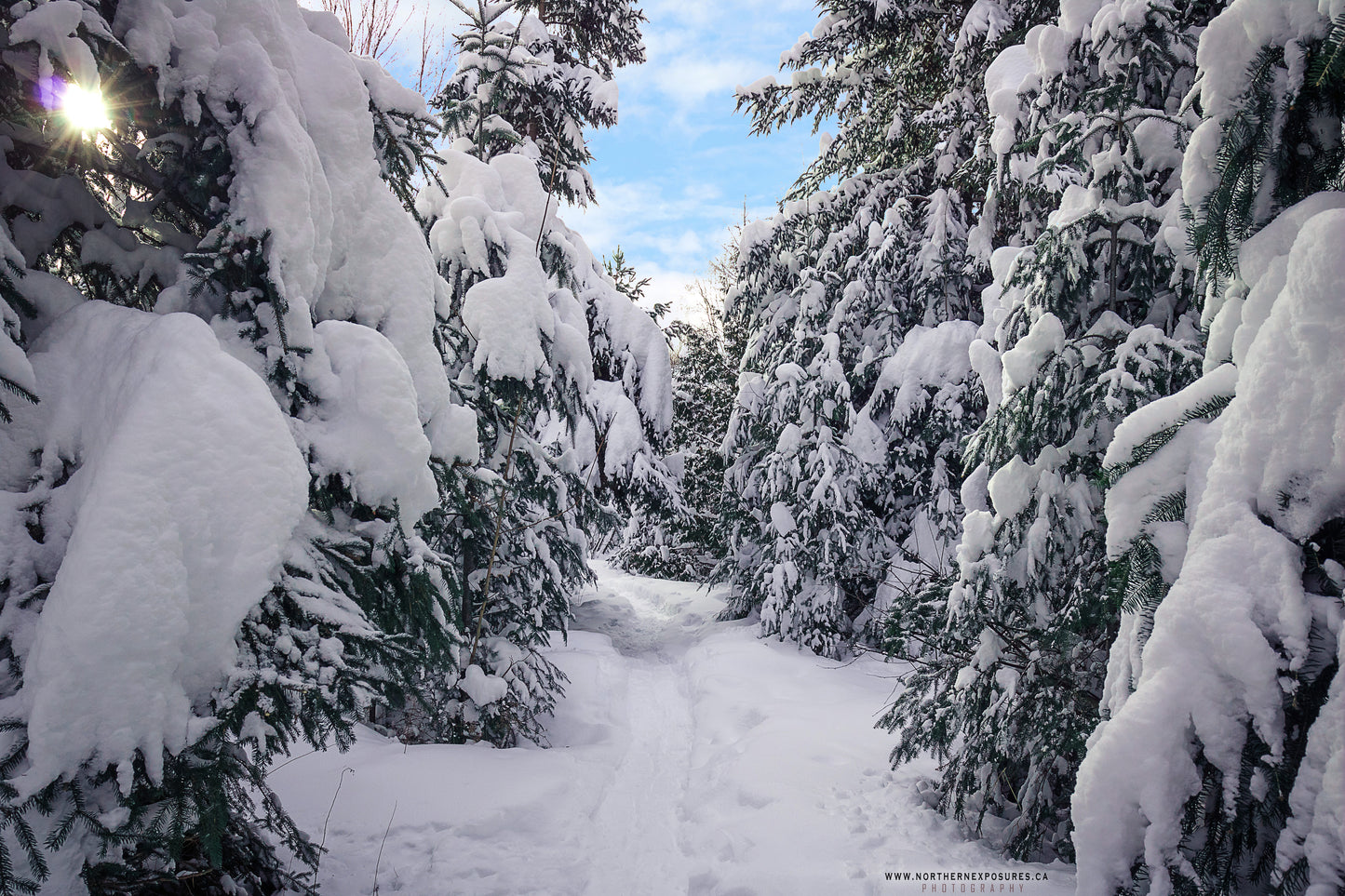 Canvas - The Winter Wonderland Sheriff's Creek 4