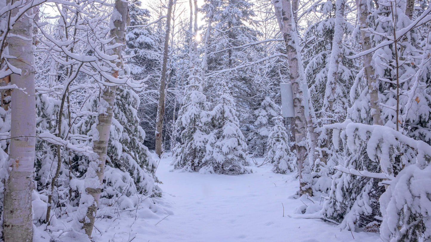 Canvas - The Winter Wonderland Sheriff's Creek 40