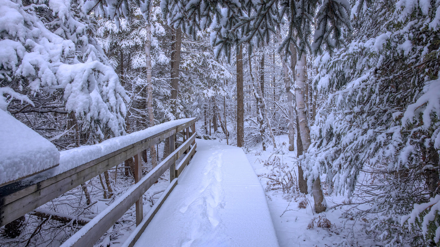 Canvas - The Winter Wonderland Sheriff's Creek 41