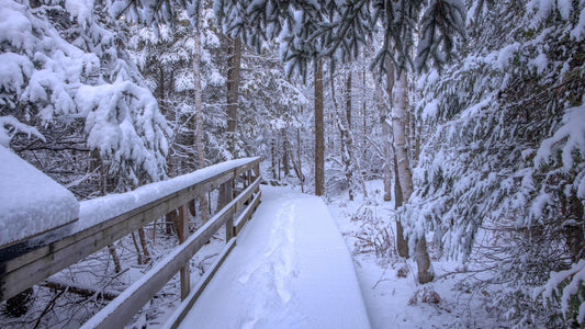 Canvas - The Winter Wonderland Sheriff's Creek 41