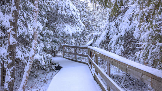 Canvas - The Winter Wonderland Sheriff's Creek 42