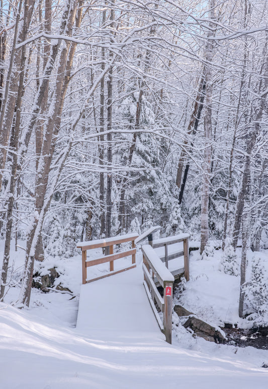 Canvas - The Winter Wonderland Sheriff's Creek 43