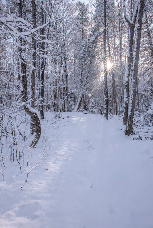 Canvas - The Winter Wonderland Sheriff's Creek 45