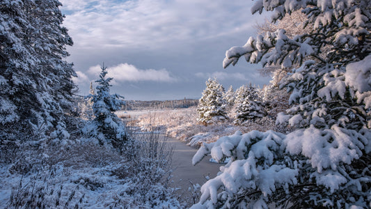 Canvas - The Winter Wonderland Sheriff's Creek 46