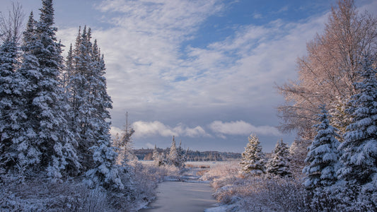 Canvas - The Winter Wonderland Sheriff's Creek 47