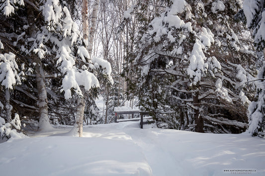 Canvas - The Winter Wonderland Sheriff's Creek 5