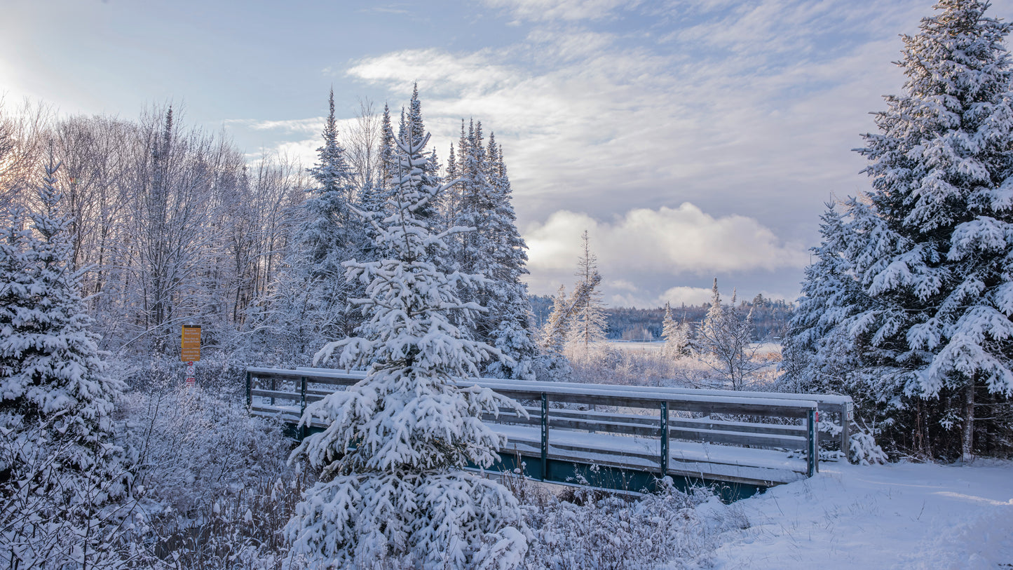Canvas - The Winter Wonderland Sheriff's Creek 50