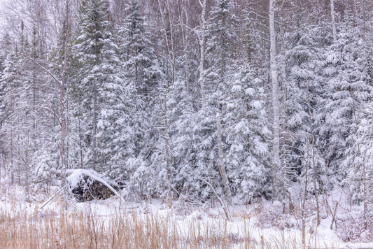 Canvas - The Winter Wonderland Sheriff's Creek 51