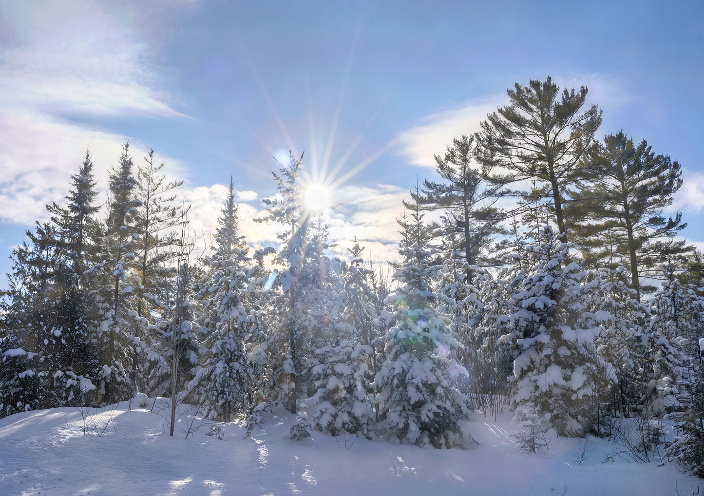 Canvas - The Winter Wonderland Sheriff's Creek 52