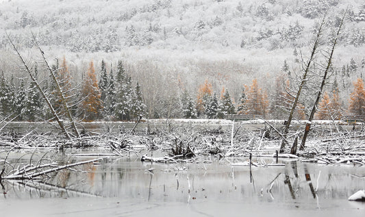 Canvas - The Winter Wonderland Sheriff's Creek 53