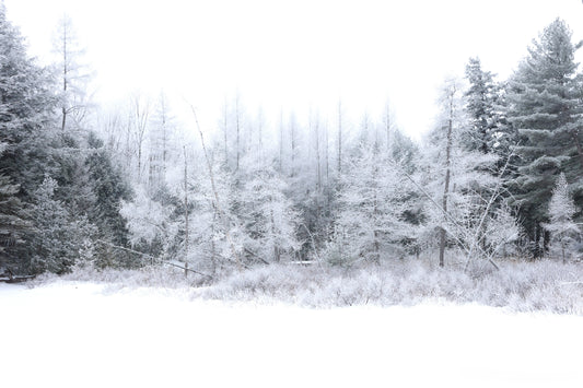 Canvas - The Winter Wonderland Sheriff's Creek 54