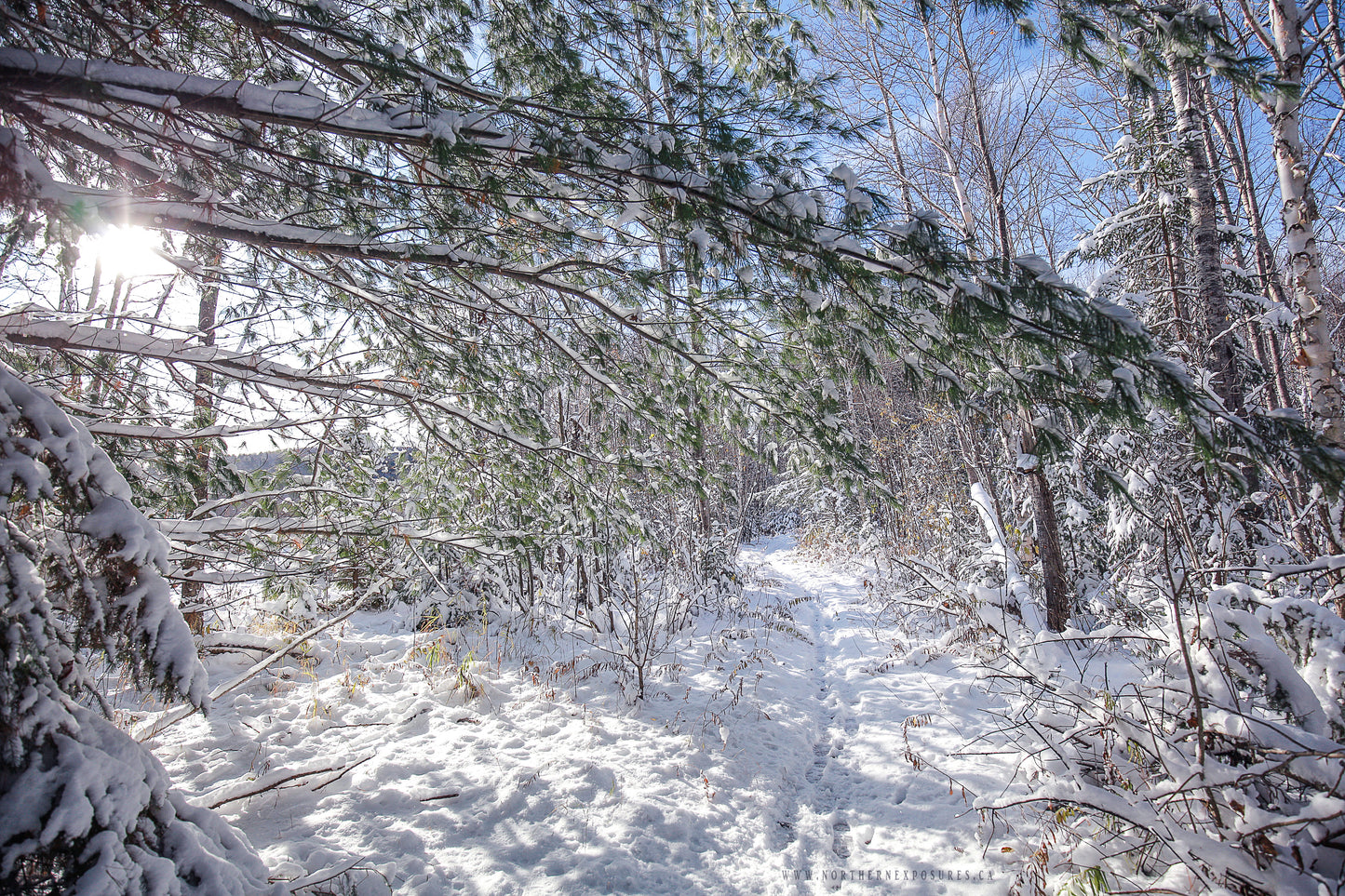 Canvas - The Winter Wonderland Sheriff's Creek 56