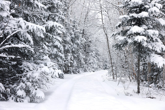 Canvas - The Winter Wonderland Sheriff's Creek 58