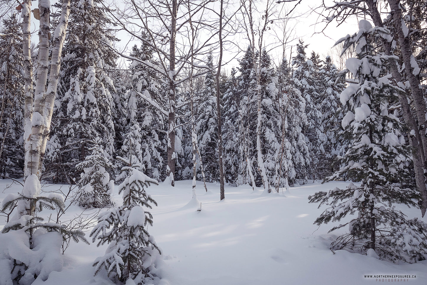 Canvas - The Winter Wonderland Sheriff's Creek 7