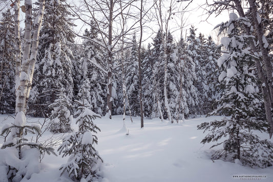 Canvas - The Winter Wonderland Sheriff's Creek 7