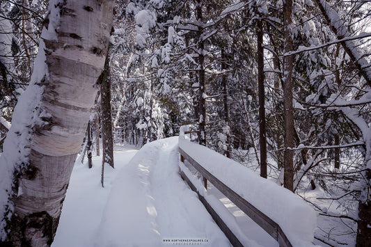 Canvas - The Winter Wonderland Sheriff's Creek 8