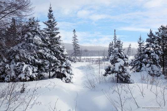 Canvas - The Winter Wonderland Sheriff's Creek 9