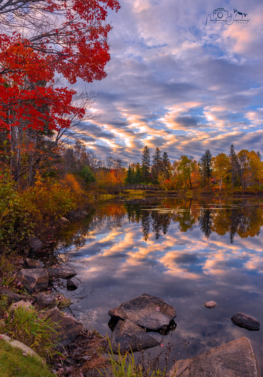 Canvas - Zebra Skies Westview Bridge