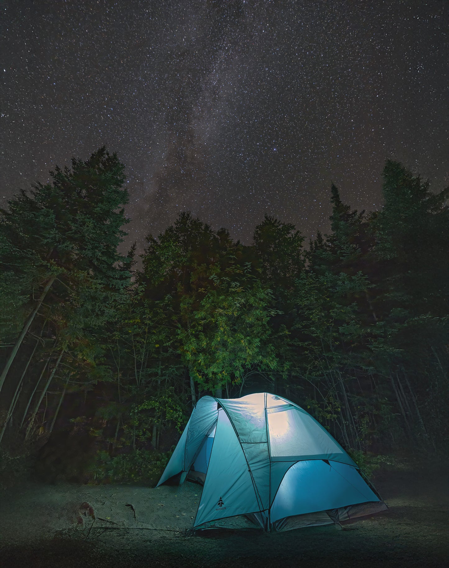 Canvas - Gone Camping